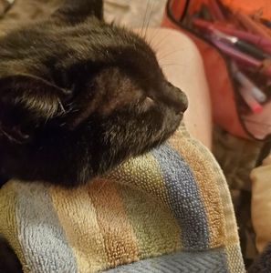 Meet your Posher, Annanda